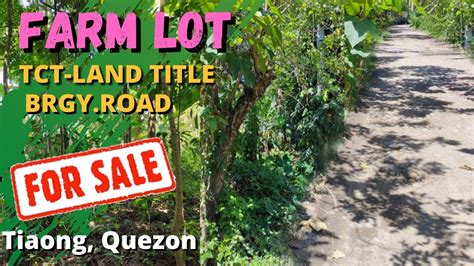 Lot for Sale in Quezon Province .